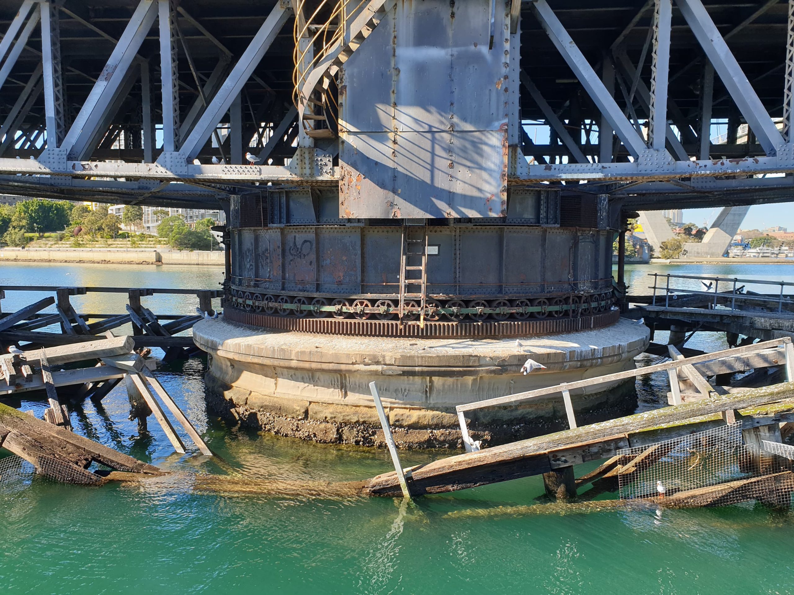 CaSE International - Glebe Island Bridge
